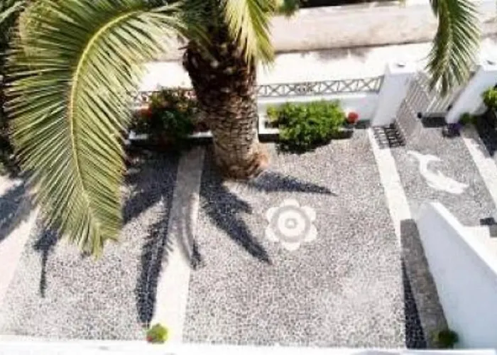 Kalamia Dolphin 3* פריסה