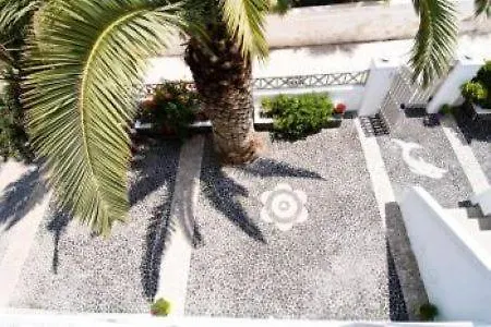 Kalamia Dolphin 佩里萨